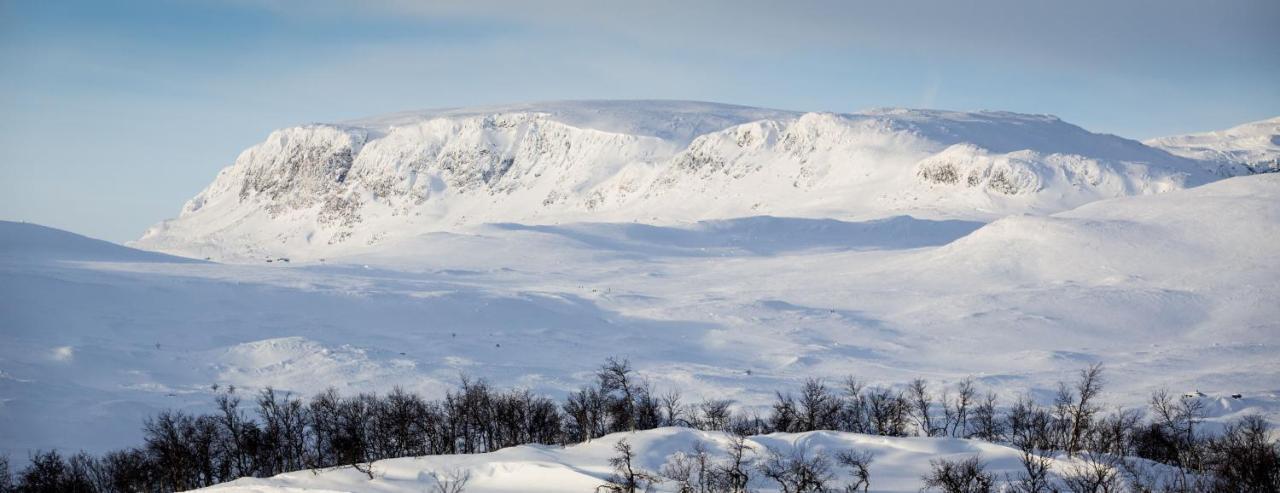 Kikut Alpin Lodge Ski In - Ski Out Гейло Екстериор снимка